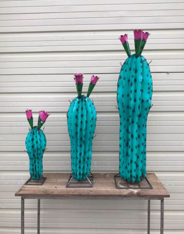 Large Flowering Cactus