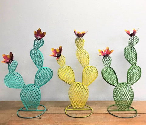 Wire Fence Cactus with Flowers