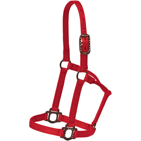 Mustang Nylon Halter w/ Antique Hardware