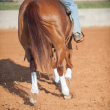 Classic Fit Boot - Hind