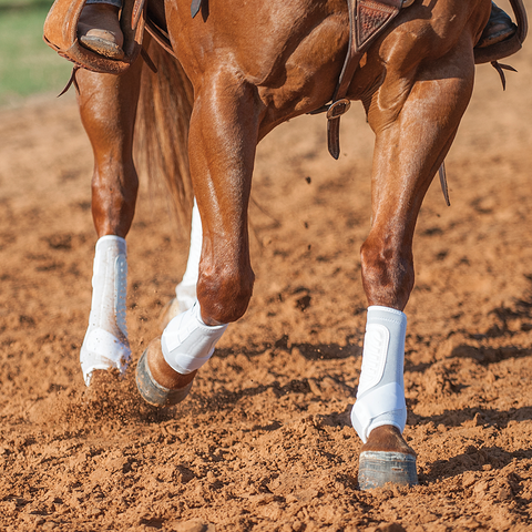 Classic Equine Boots – Sandbur Tack & Western Wear