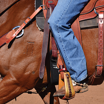 Feather Flex Straight Cinch