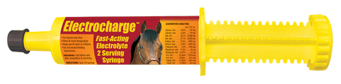 Finish Line Horse Electrocharge