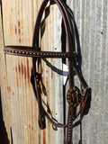 Cashel Card Suite Buckles Silver Dots Headstall