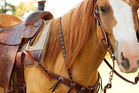 Dark Leather Reins with Latigo Lacing - Turquoise – Sandbur Tack