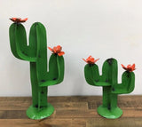 Small Saguaro Cactus