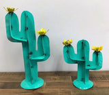 Small Saguaro Cactus