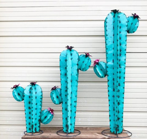 Mammillaria Flowering Cactus