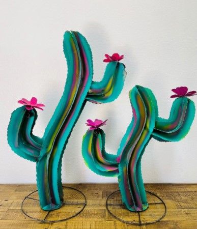 Dancing Clown Cactus