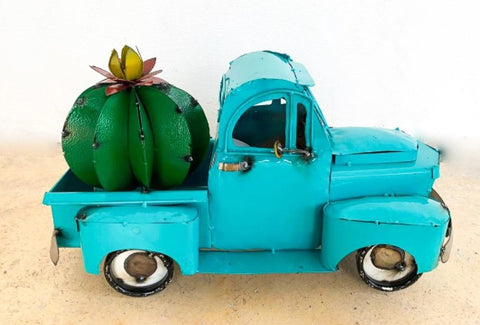 Truck w/ Cactus