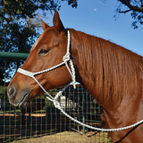 Martin Mule Tape Halter